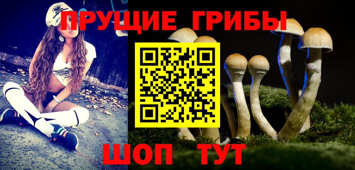 Псилоцибиновые грибы Psilocybine cubensis  Вход с VPN  Псилоцибиновые грибы Cubensis  Троицк 